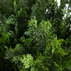 5ft. Artificial Cedar Bush UV Resistant, Indoor/Outdoor