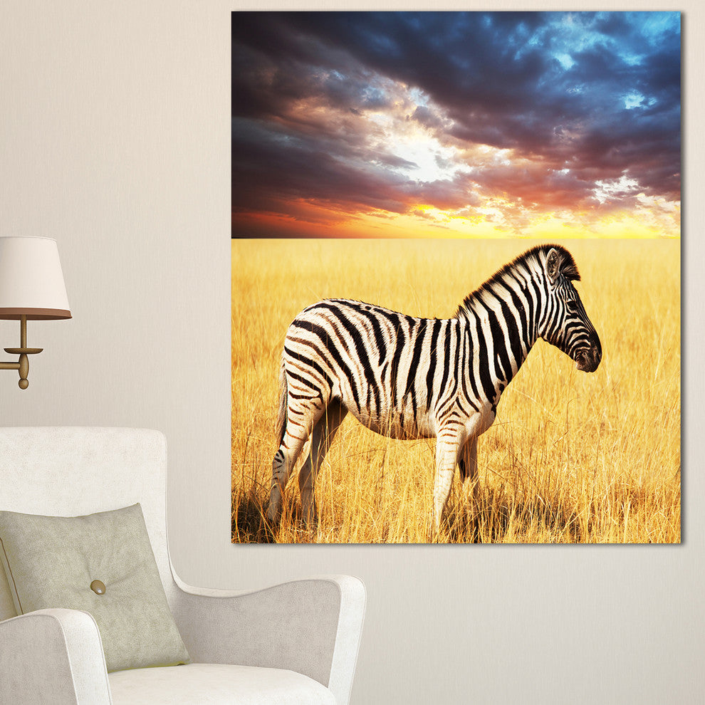 Solitary Zebra in African Grassland, African Canvas Art Print, 30"x40"
