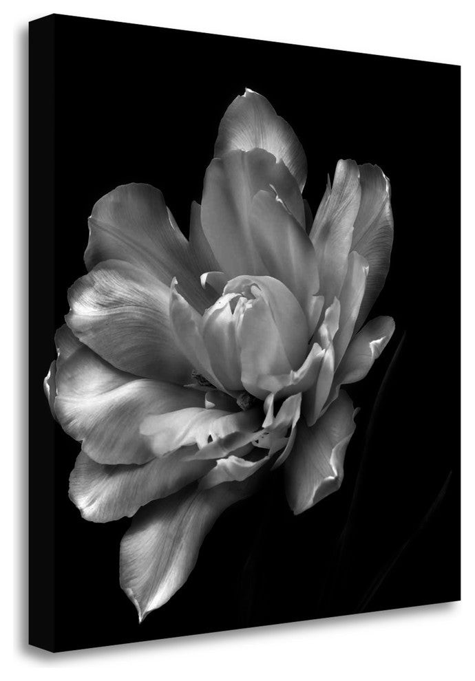 "Summers Surprise" By Charles Britt, Giclee Print on Gallery Wrap Canvas