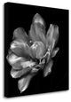 "Summers Surprise" By Charles Britt, Giclee Print on Gallery Wrap Canvas