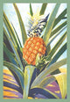 Pineapple- Gallery Wrapped Canvas Art 28" x 42"