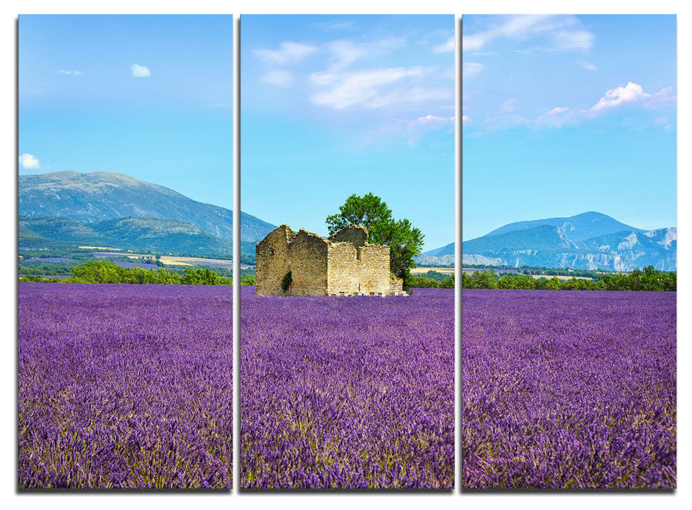 "Old House and Tree in Lavender Field" Metal Wall Art, 3 Panels, 36"x28"