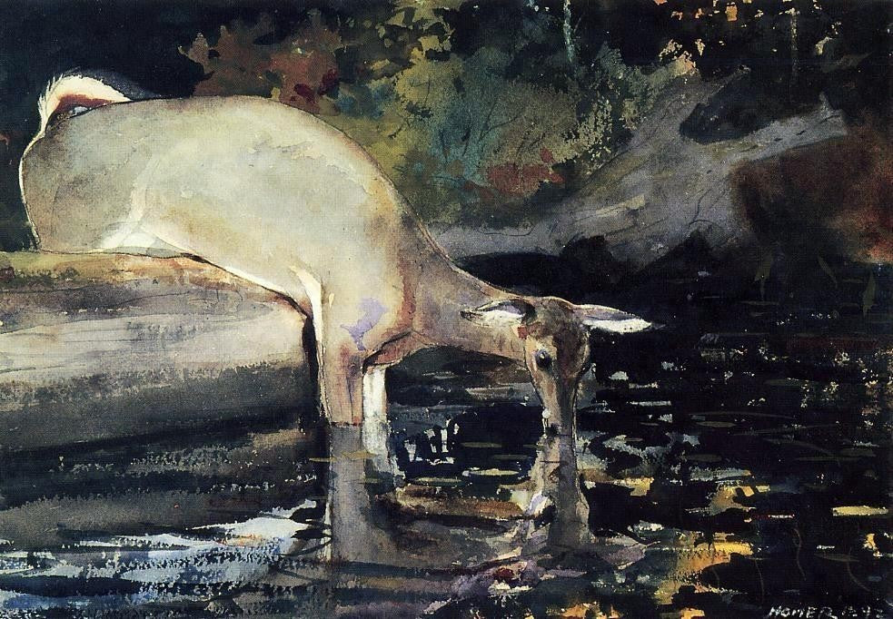 Winslow Homer A Deer Drinking, 18"x27" Wall Decal