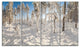 Winter Snow Covered Wood, Landscape Canvas Art Print, 48"x28", 4 Panels