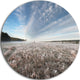 Autumn Hoarfrost On Grass, Landscape Large Disc Metal Wall Art, 11"
