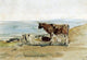 Eugene-Louis Boudin Cows near the Shore Gallery Wrap Canvas, 18"x27"