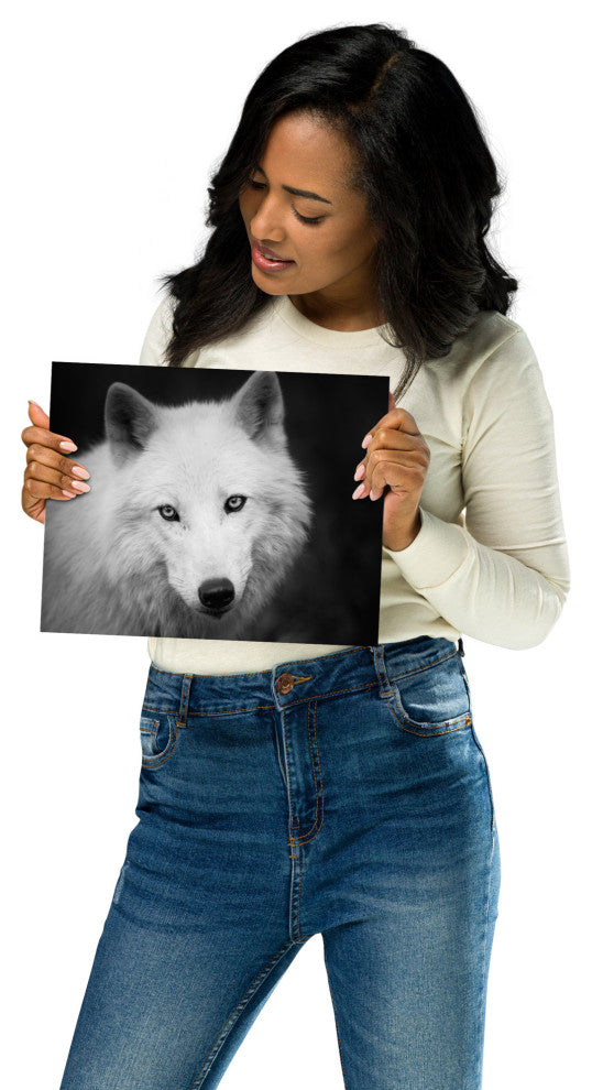 Black and White Portrait of White Wolf In The Forest Loose Wall Art Print, 8" X 10"