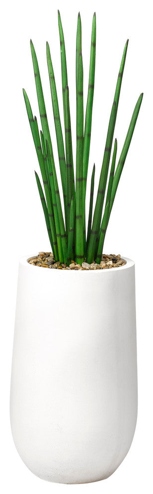 Full product on white background with planter; looks like a standard product shot suitable as the main representation.
