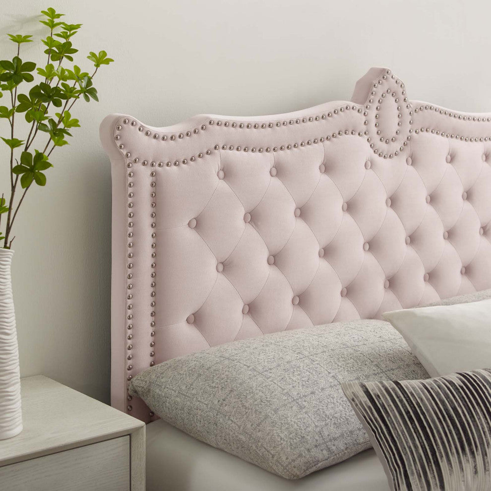 Platform Bed Frame, Nailhead, Queen Size, Pink, Velvet, Modern, Guest Suite