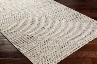 Berlin BLR-2302 Machine Woven Area Rug, 6'7" X 9'