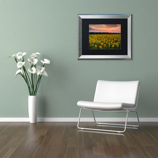 Blanchette Photography 'Sunflower Taps', Silver Frame, Black Matte, 20"x16"