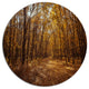 Sunset In Yellow Autumn Forest, Modern Forest Disc Metal Wall Art, 36"