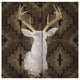"Precious Antlers I" Digital Paper Print by Wellington Studio, 42"x42"