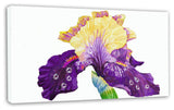 Blooming Blue Yellow Iris, Floral Canvas Art print, 32"x16"