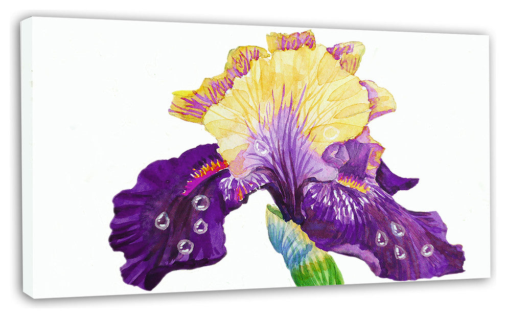 Blooming Blue Yellow Iris, Floral Canvas Art print, 32"x16"