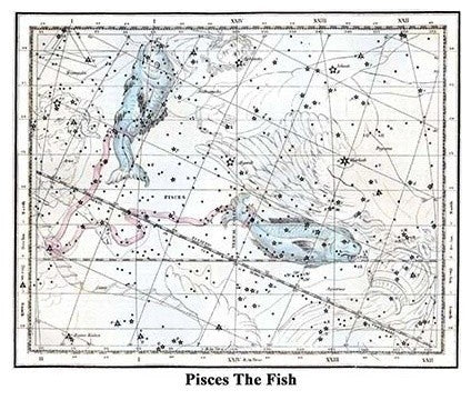 Pisces the Fish - Fine Art Giclee Print 24" x 36"