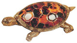 Young Pen Shell and Brass Turtle Figurine