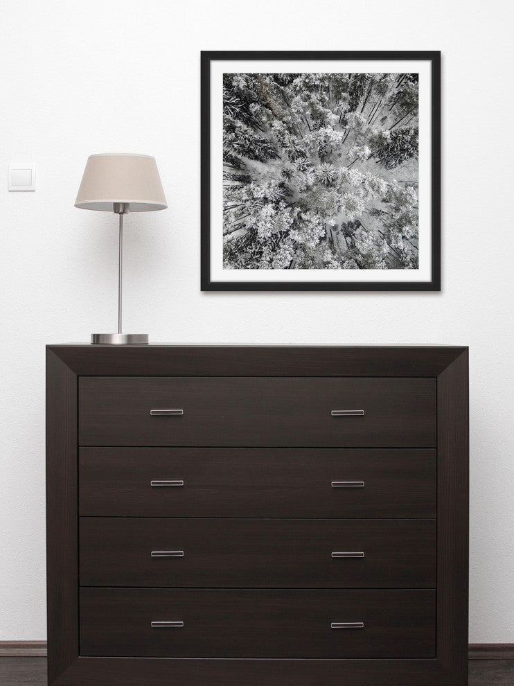 "Tall and Cold" Framed Print by Karolis Janulis