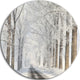 Road Through Frosted Forest, Landscape Photo Round Wall Art, 36"