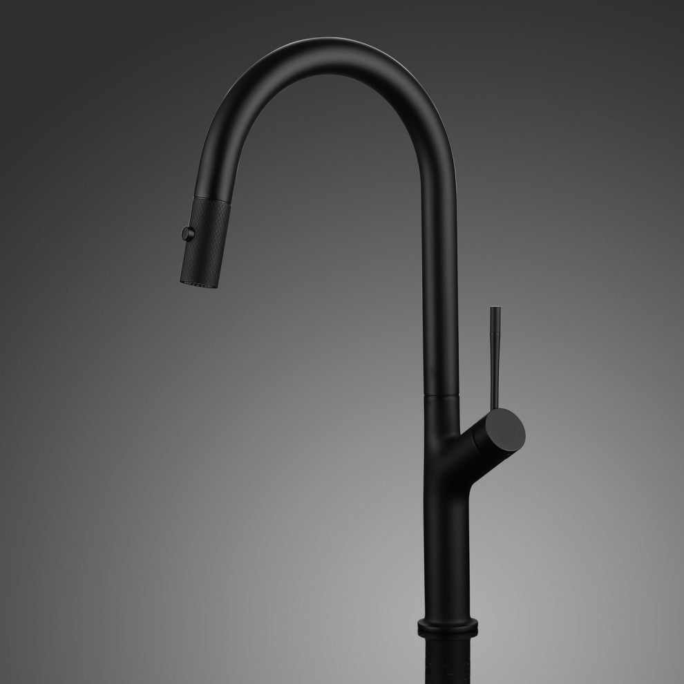 Elisa Modern Kitchen Faucet With 2 Jets, Black