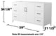 Elan 60" Single Vanity, White, No Top, No Sink, Black Trim