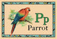 Parrot- Gallery Wrapped Canvas Art 28" x 42"