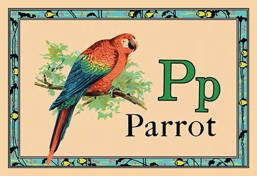 Parrot- Gallery Wrapped Canvas Art 28" x 42"