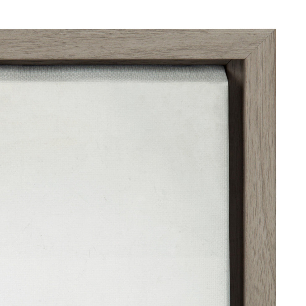 Sylvie Succulent 5 Framed Canvas by F2 Images, Gray 23x33