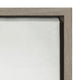 Sylvie Succulent 5 Framed Canvas by F2 Images, Gray 23x33