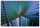 "Abstract Art Palm Leaf" by Anthony Paladino, Canvas Art