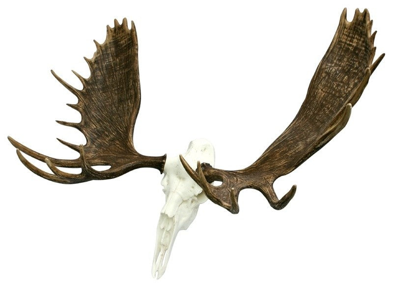 European Alaskan Moose Mount