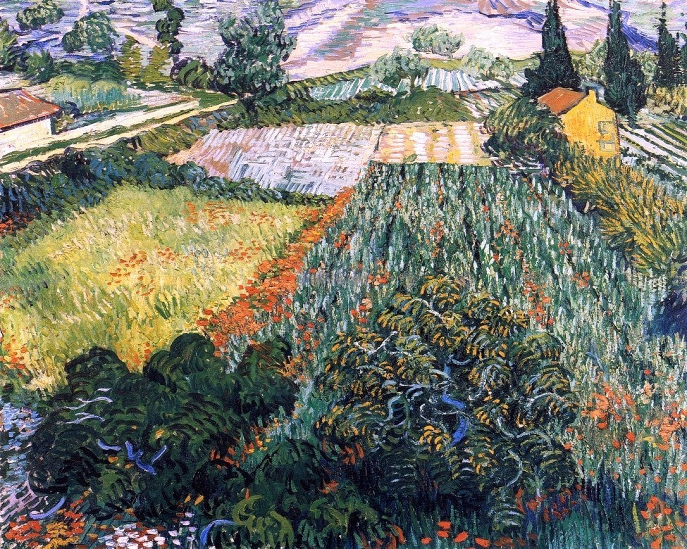 Vincent Van Gogh A Field With Poppies, Gallery Wrapped Canvas Print, 20"x25"