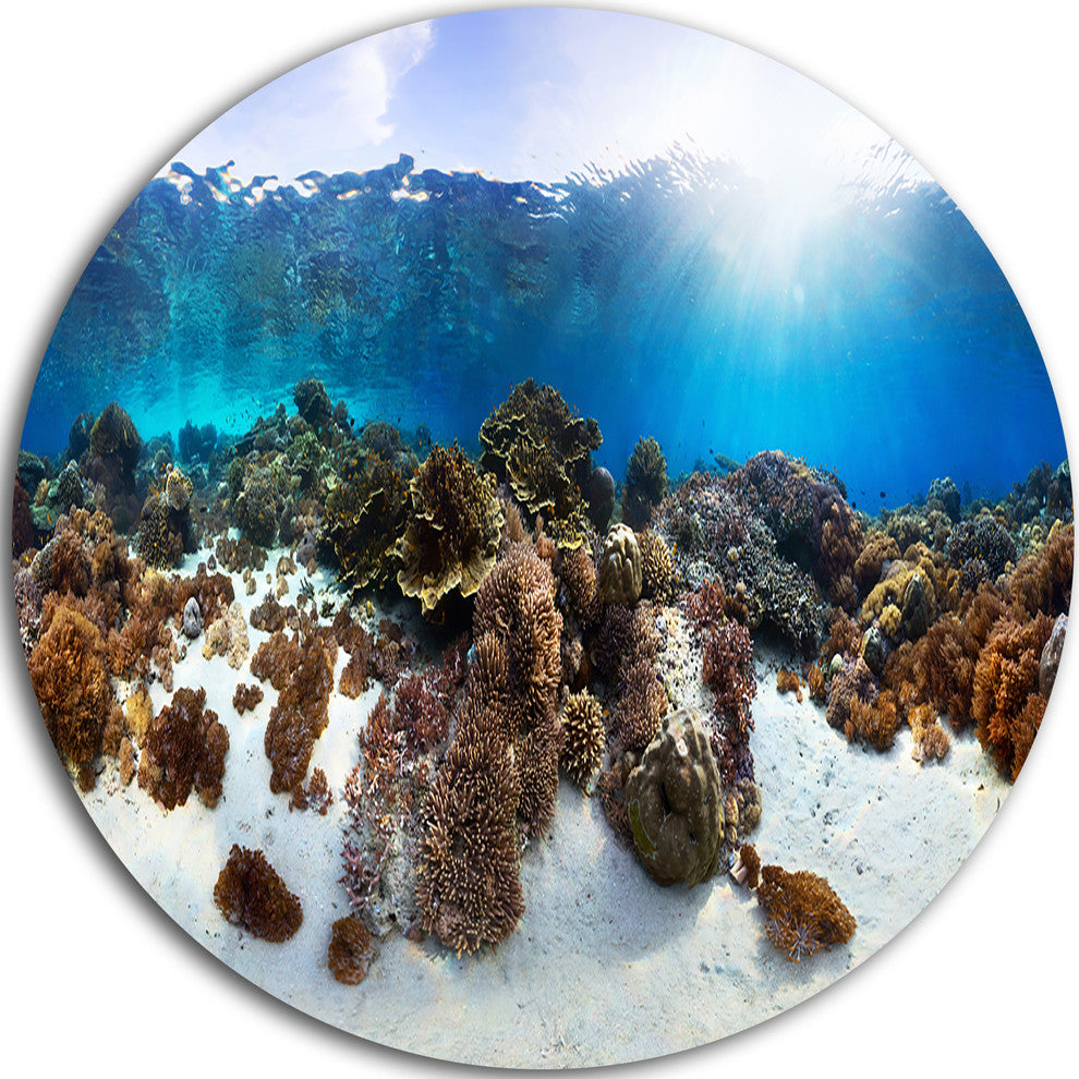 Indonesia Underwater Panorama, Photography Disc Metal Wall Art, 23"