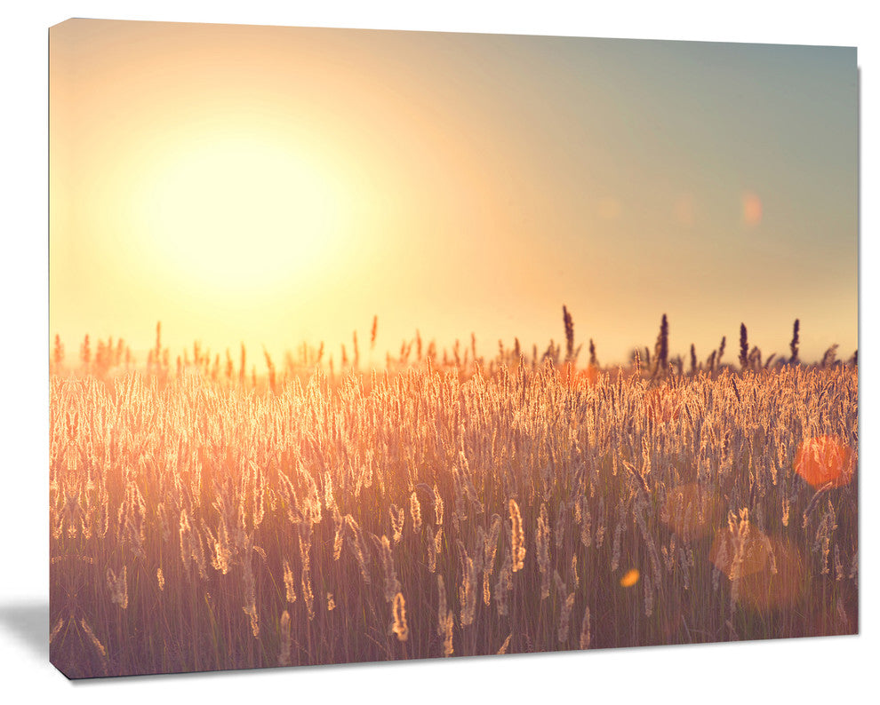 Rural Land under Shining Sun, Large Landscape Canvas Art, 40"x30"