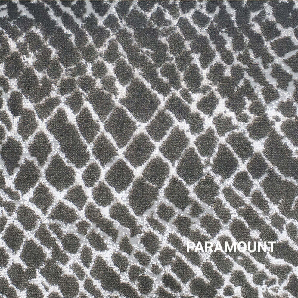 Accomplishment Area Rug Accent Rug Carpet Runner Mat, Paramount, 6x9