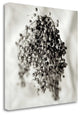 "Florison - 38" By Alan Blaustein, Giclee Print on Gallery Wrap Canvas