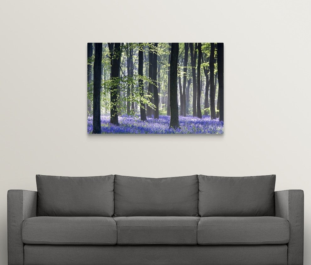 "Bluebell Vision" Wrapped Canvas Art Print, 48"x32"x1.5"