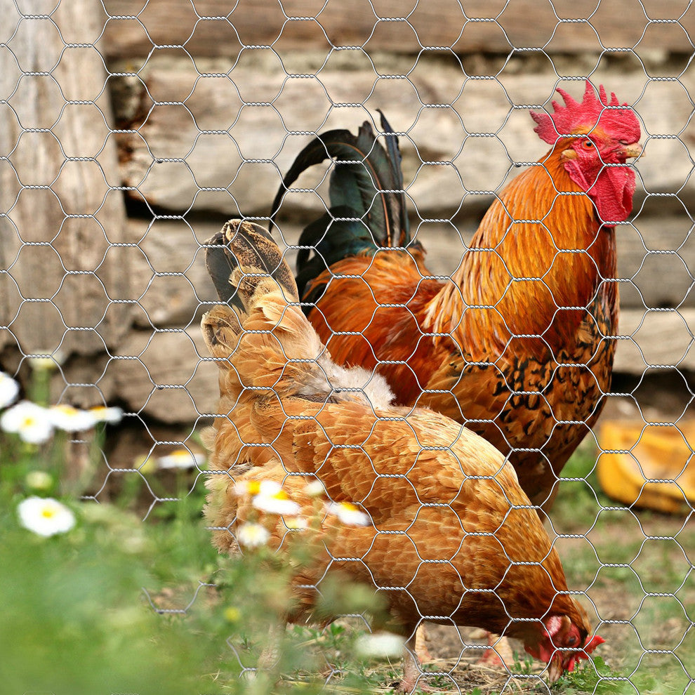 Chicken Wire 20 Gauge 1"Mesh 3'x50'