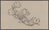 Magnolias, Line III, 60 x 36