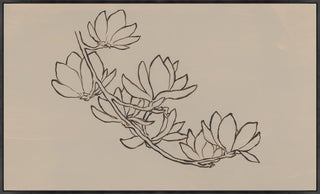 Magnolias, Line III, 60 x 36