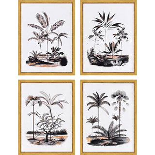 Exotic Terrain Framed Art, 4-Piece Set