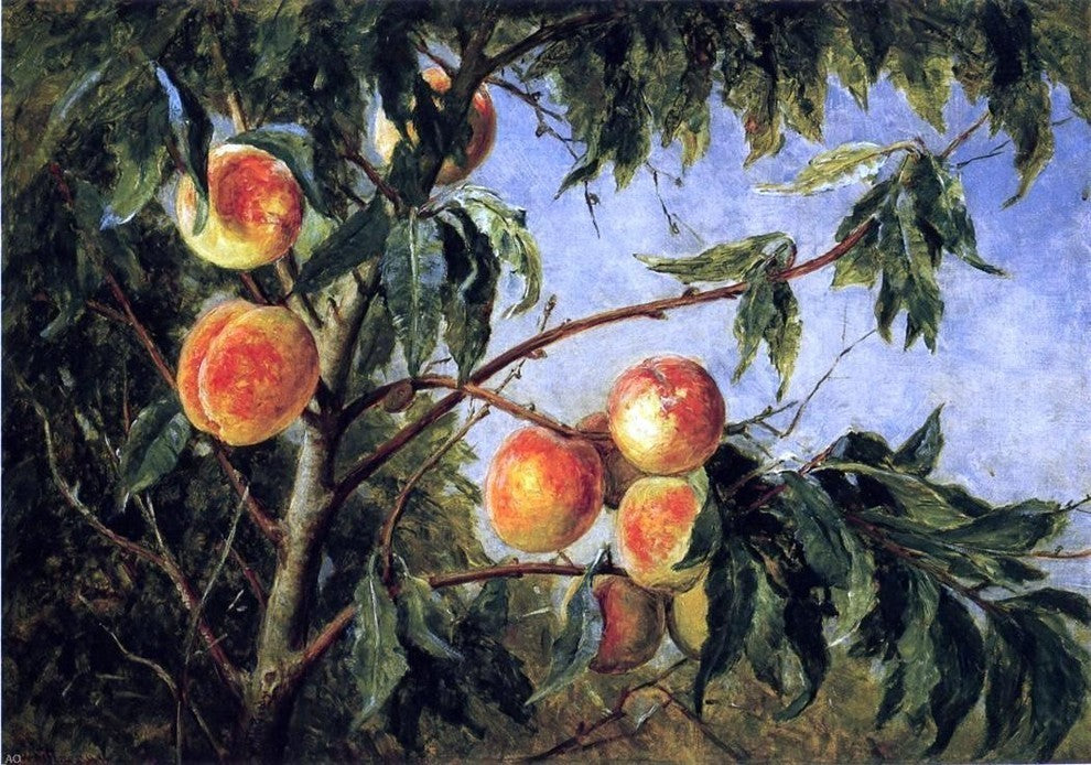 Thomas Worthington Whittredge Peaches Premium Canvas Print