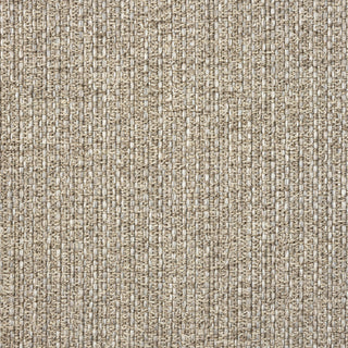 Paolo Modern Solid Brown Indoor Outdoor Area Rug, 2' x 3'
