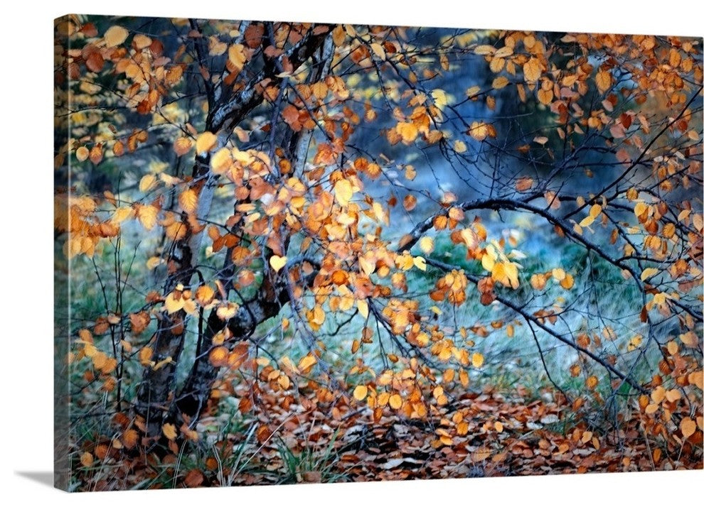 "Yellow Heart" Wrapped Canvas Art Print, 36"x24"x1.5"