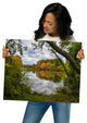 Lost in Autumn Color Landscape Photo, Rural Unframed Wall Art Print, 16" X 20"