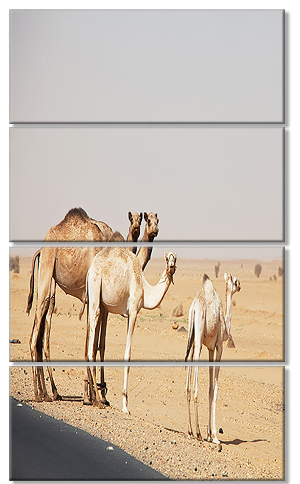 Camels in Sunny Sahara Desert, Animal Canvas Art Print, 28"x48", 4 Panels