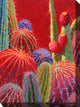 Barrel Cactus #2 Outdoor Art