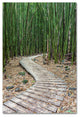 Pierre Leclerc 'Hiking Through The Bamboo Forest' Canvas Art, 32x22