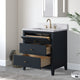 Vanity Art Bathroom Vanity with Engineered Marble Top and Sink, Vintage Spruce Blue, 30", Golden Brushed