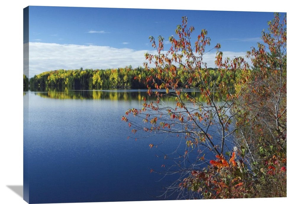 "Tobique River, New Brunswick, Canada" Artwork, 40" x 30"